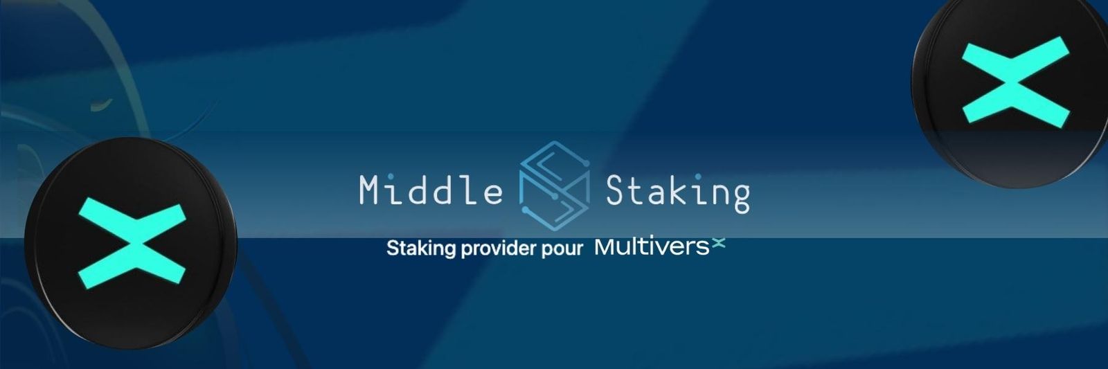 Découvrir MultiversX (EGLD) : Rencontre avec Kévin Lallement de Middle Staking