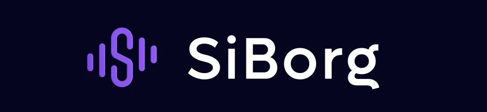 siborg.io - img - article