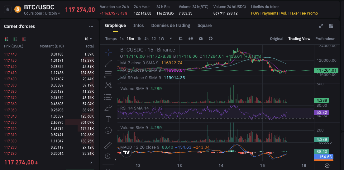 Bitcoin - logo - Article
