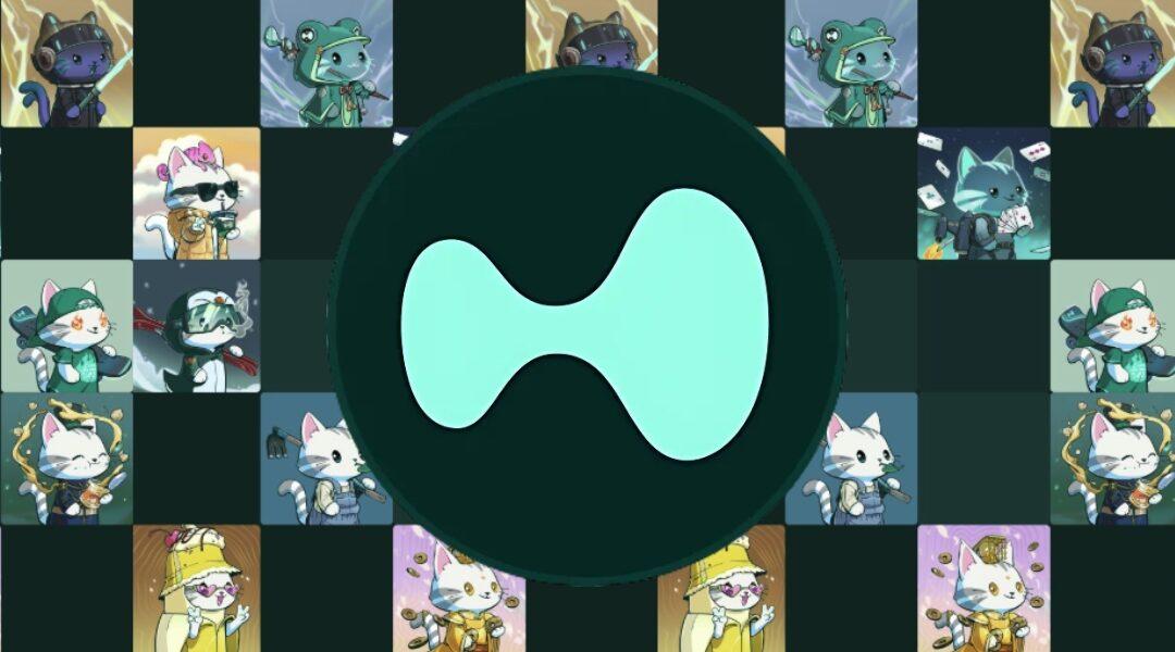 Hypurr NFTs : un airdrop félin qui vaut de l’or sur Hyperliquid